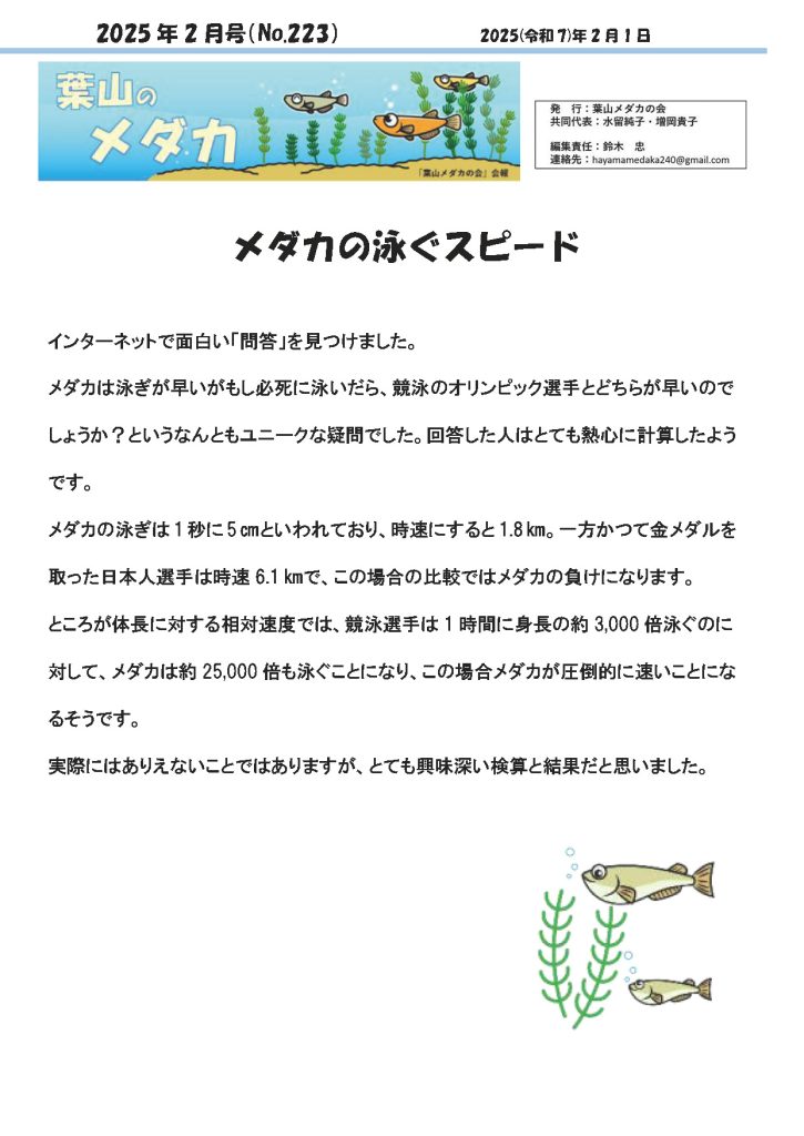 「葉山メダカの会」会報2月号/NO.223